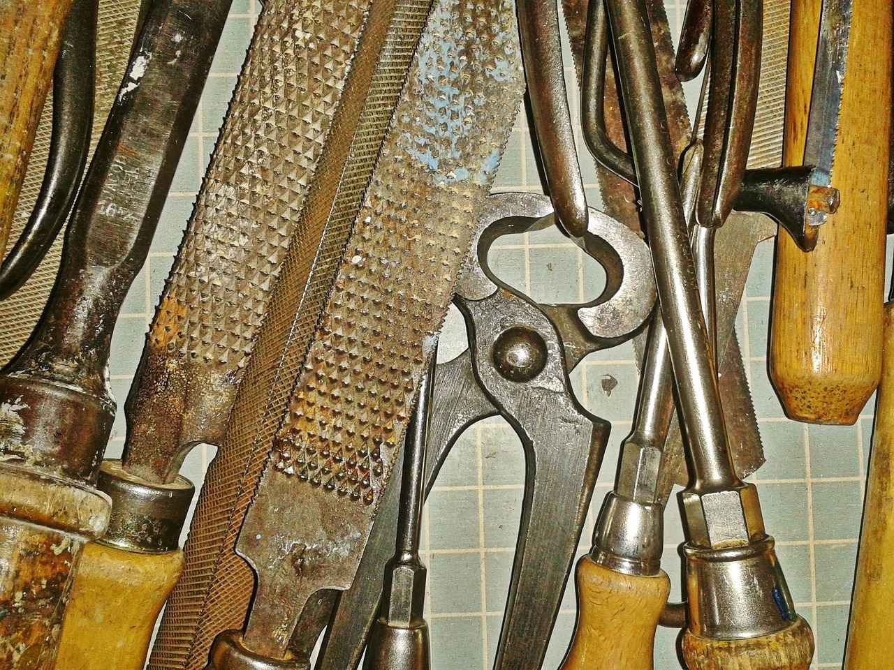 Bitlerle Mücadelede Aile ve Toplum Bilinci
