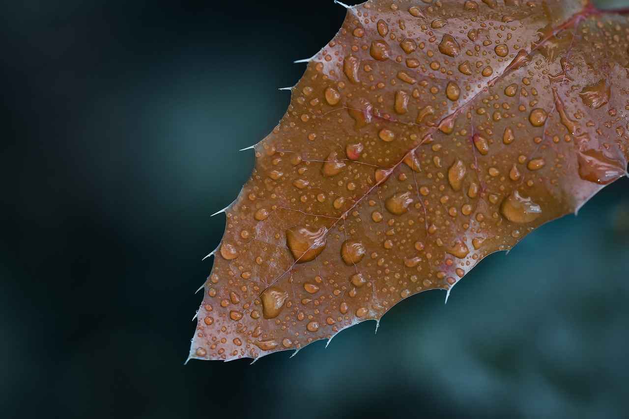 Bit İlaçları: Doğal Çözümler