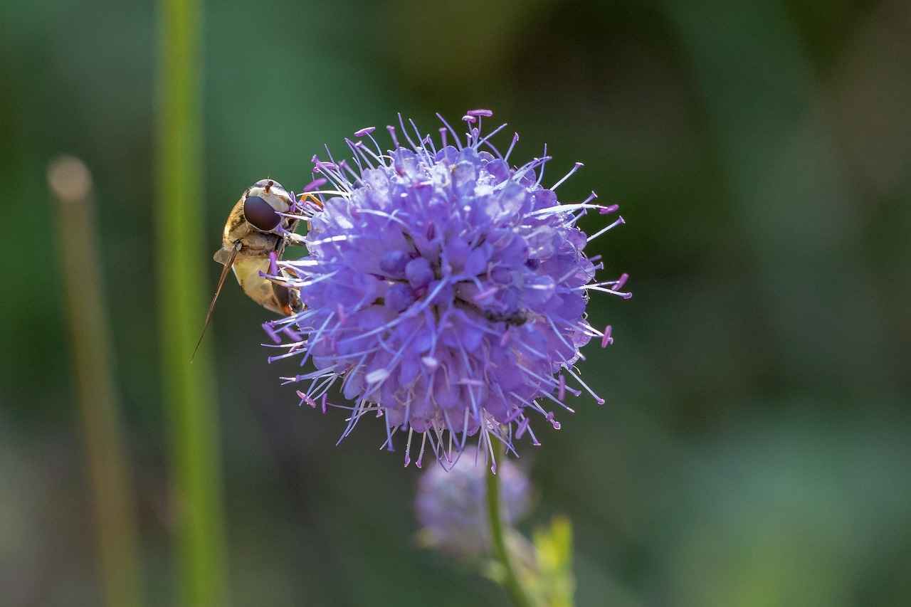 Bit İlaçlarının Kullanımında Dikkat Edilmesi Gerekenler