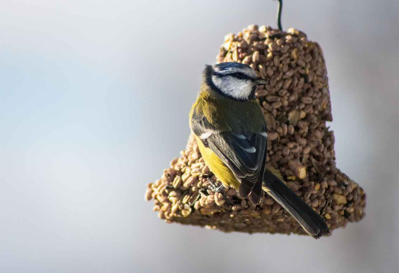Kimyasal Ürünlerin Kullanımı