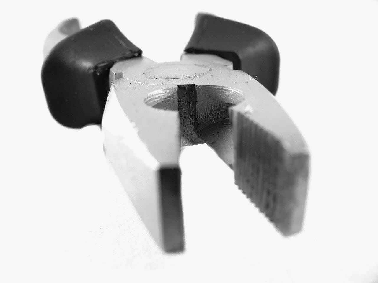 Bitlerin Belirtileri ve Tanısı