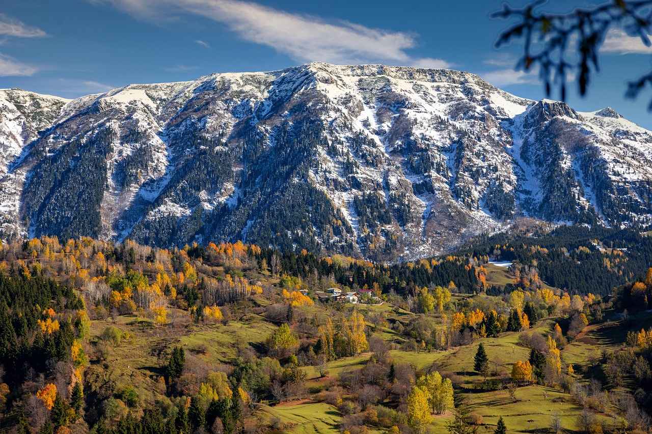 Kenelerden Korunma Yöntemleri