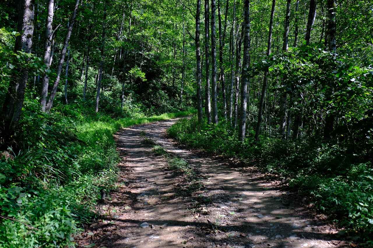 Kenelerle İlgili Yanlış Bilinenler