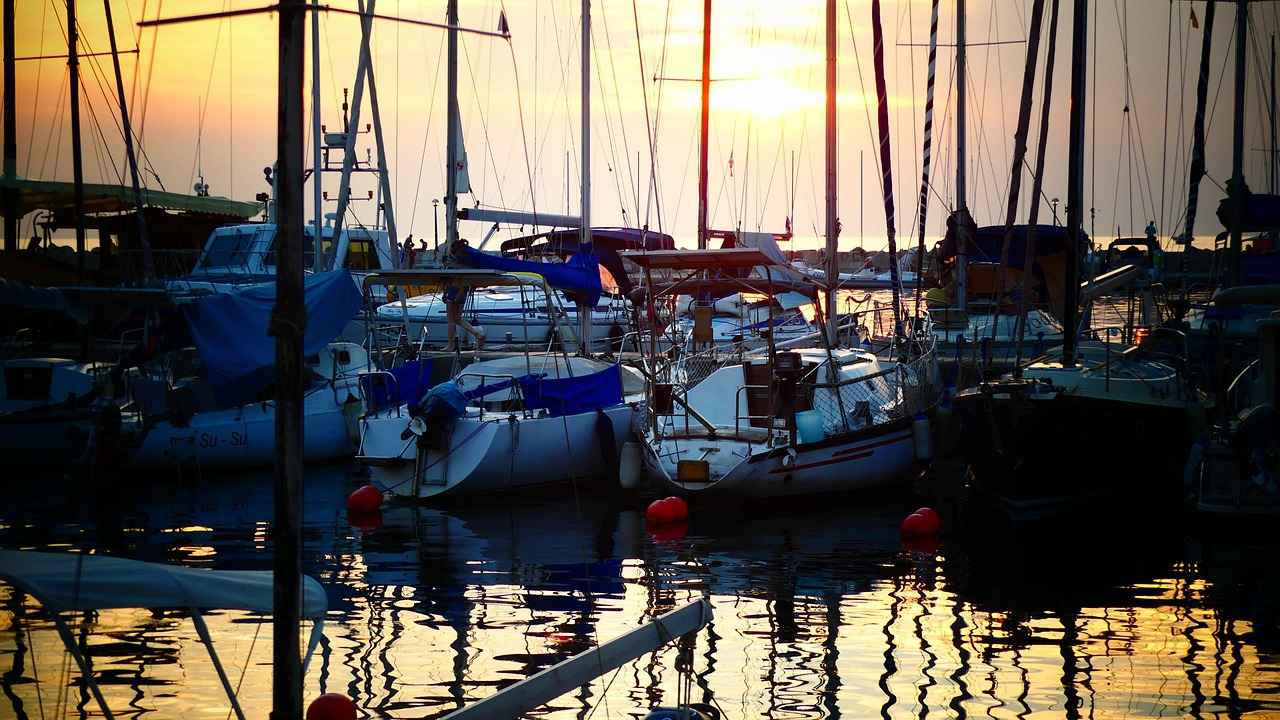 Doğal Pire İlaçları