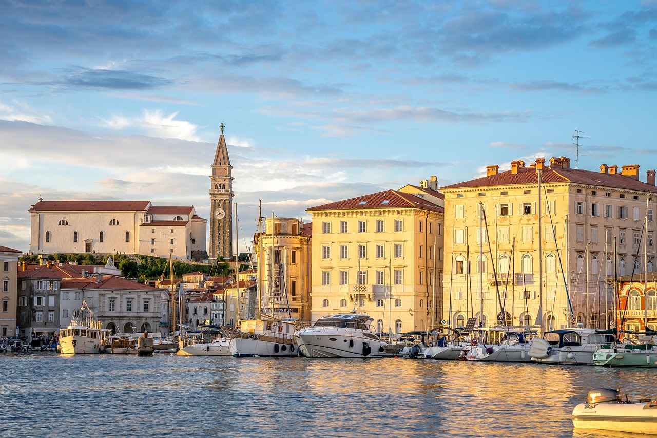 Pire İlaçları: Hangisini Seçmelisiniz?