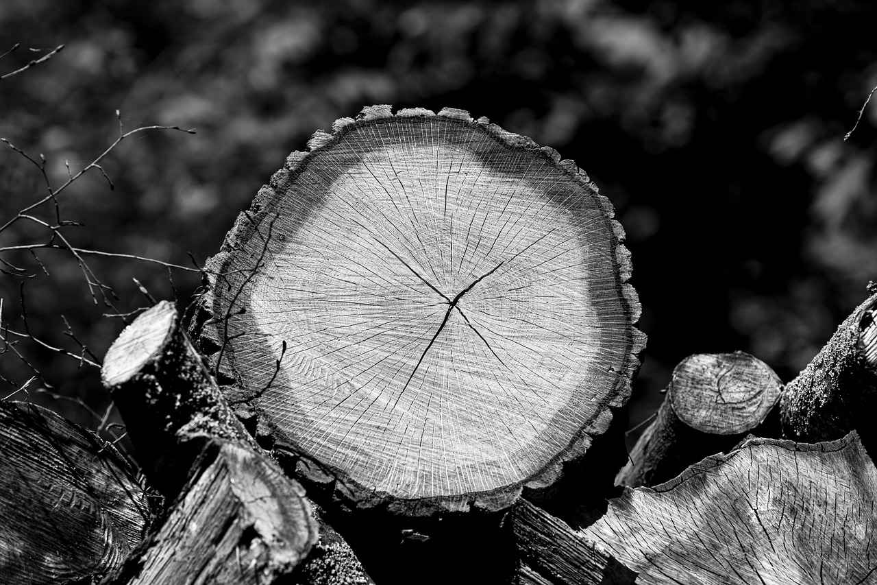 Pire İlaçlarının Türleri