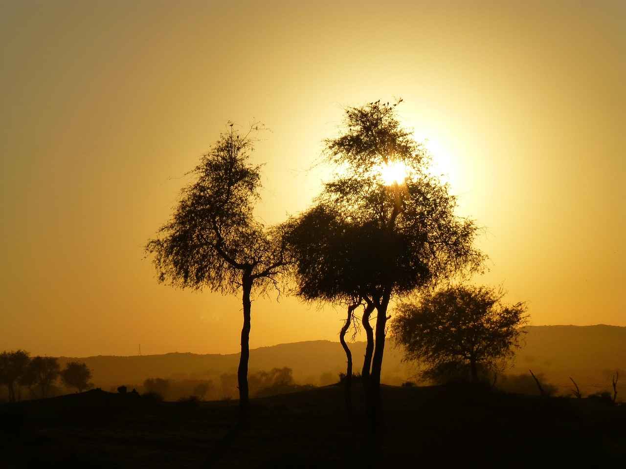 Pirelerden Korunma Stratejileri